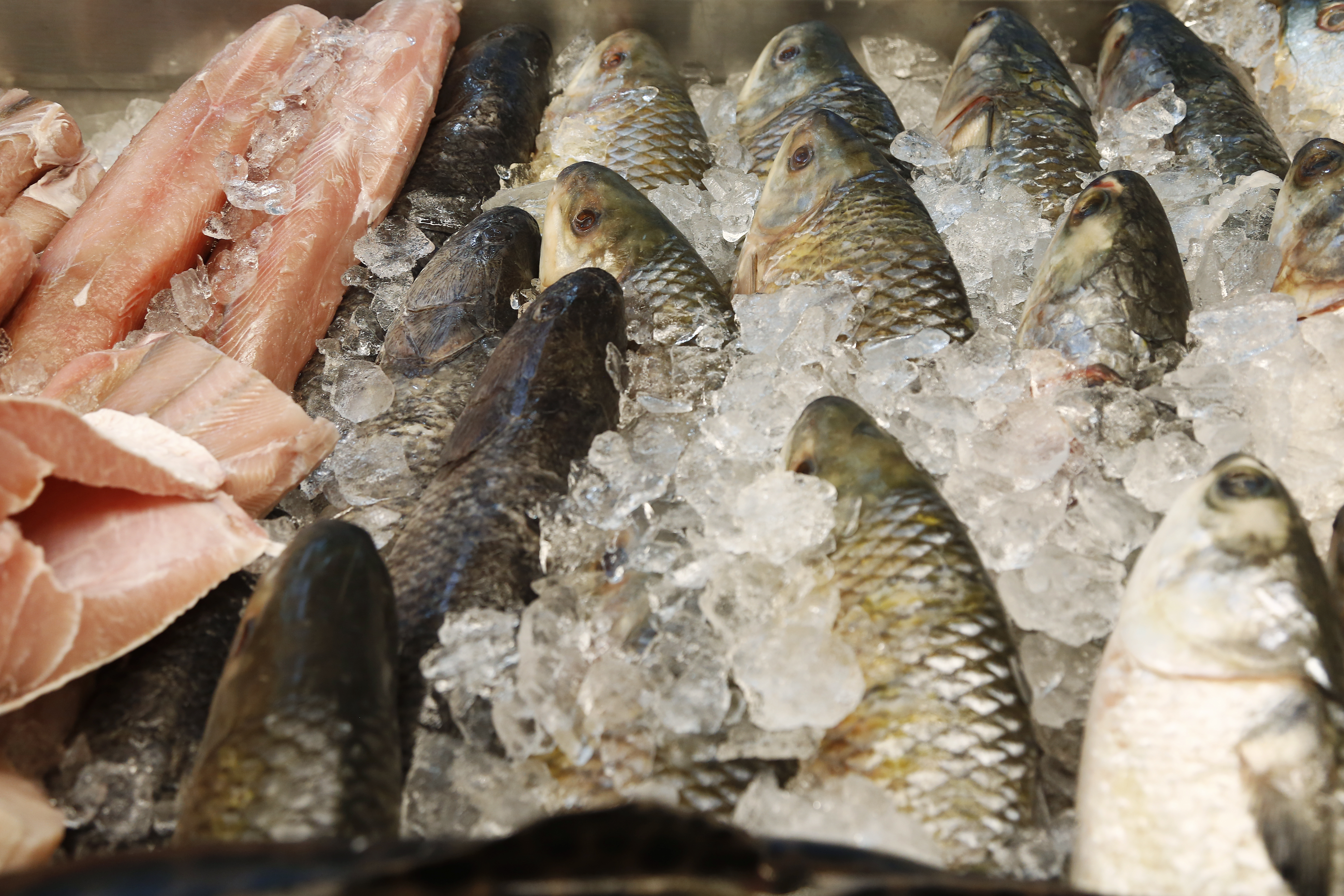 As amostras serão encaminhadas ao laboratório do Mapa, que realizará o sequenciamento genético para verificar qual a espécie de peixe que se encontra na embalagem. | Henry Milleo/Gazeta do Povo