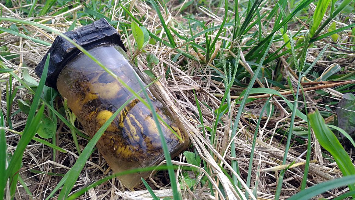 Moradores se assustaram com o objeto, afirmando que poderia se tratar de um feto | Marco Charneski/O Popular do Paraná