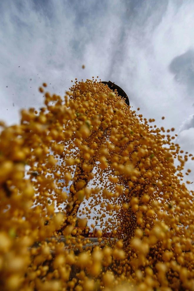 | Jonathan Campos/Gazeta do Povo