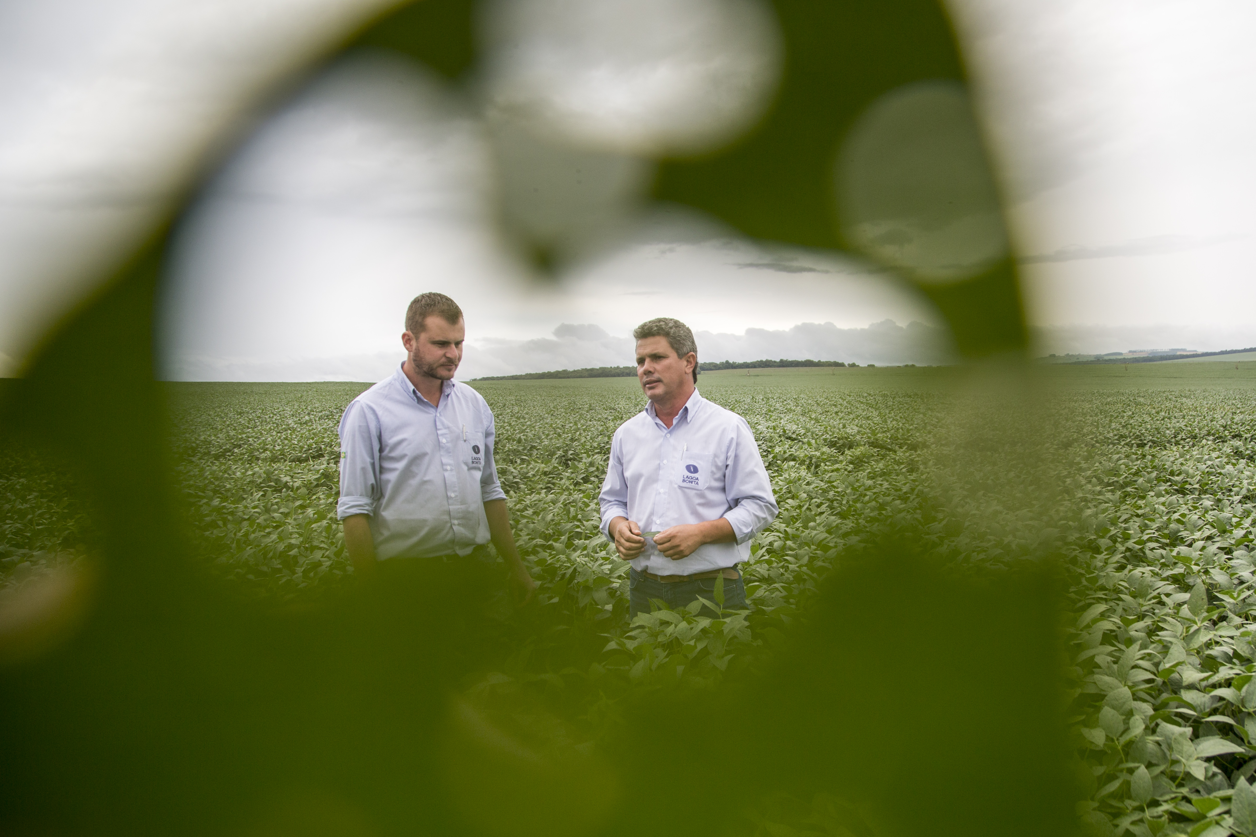 Especialistas da Lago Bonita Sementes: Thiago Martin Christenson e Adilson Rodrigues Machado | Marcelo Andrade/Gazeta do Povo