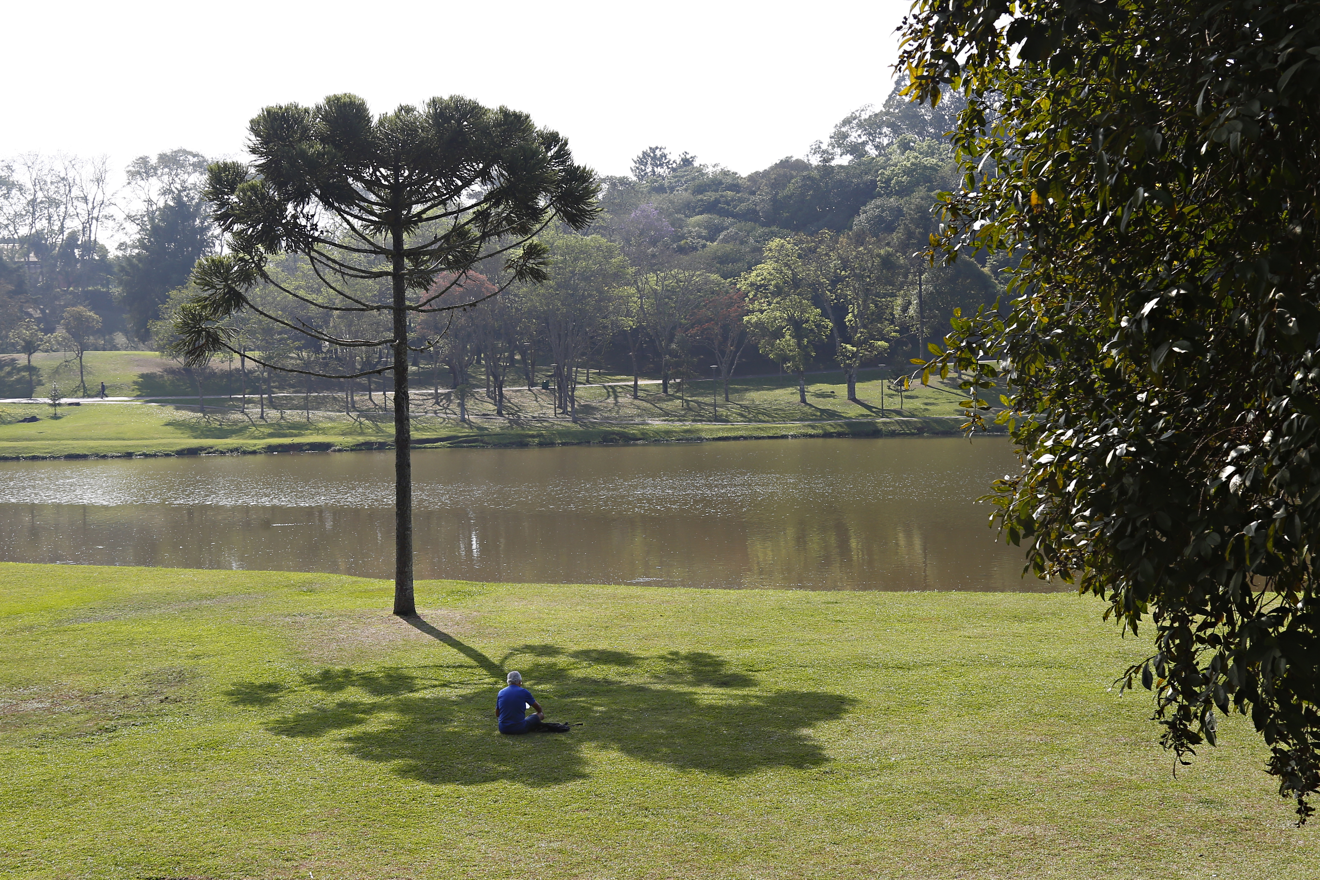| Aniele Nascimento/Gazeta do Povo