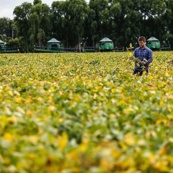 | Jonathan Campos/Gazeta do Povo