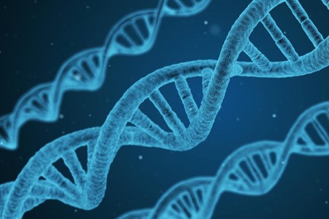 Banco de DNA de criminosos cresce 20%, mas medida é questionada no STF |