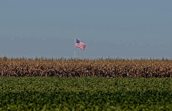 Estados Unidos devem produzir e exportar menos grãos nesta safra, abrindo uma nova janela de mercado para o Brasil. | ALBARI ROSA/GAZETA DO POVO