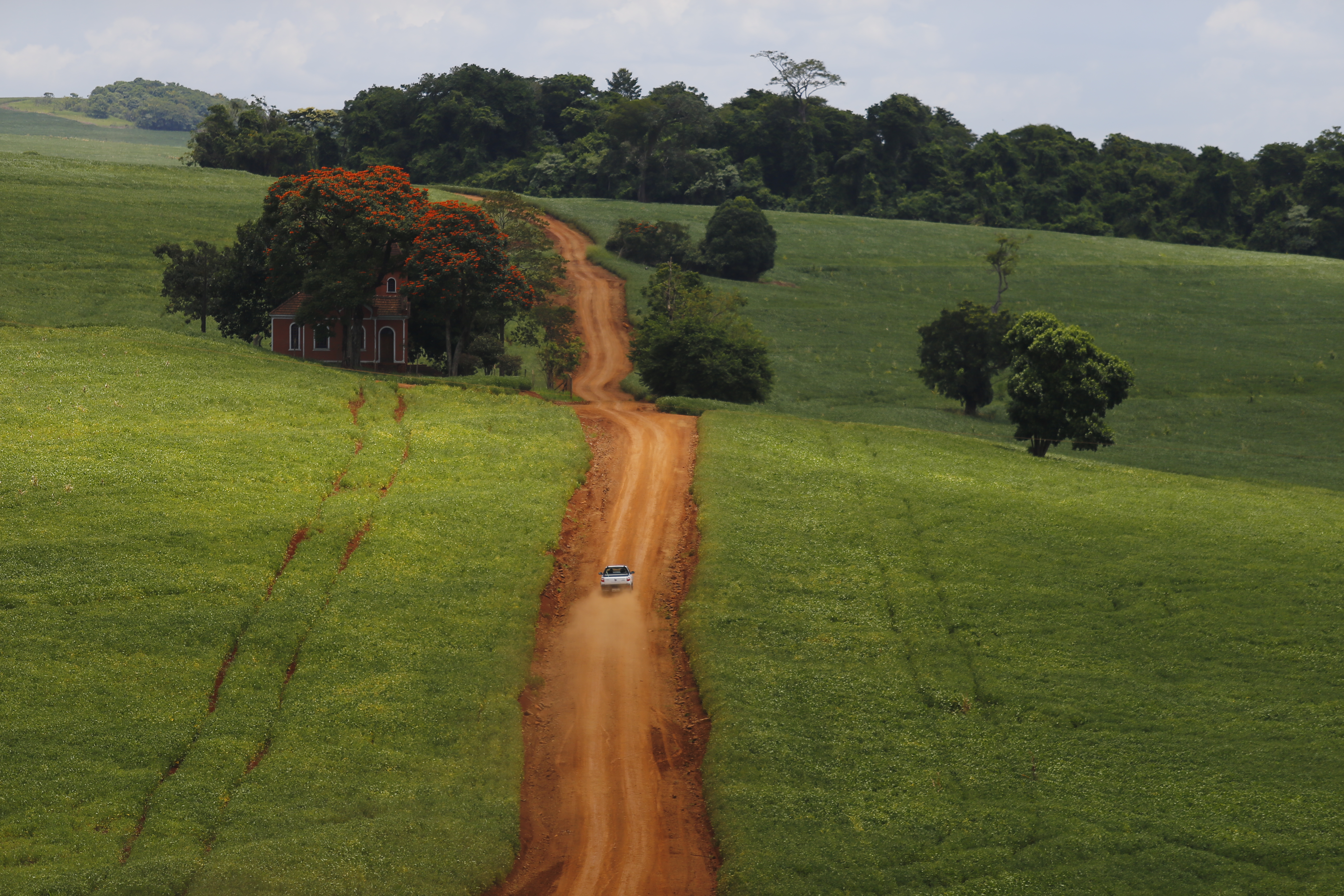 O Código Florestal é a legislação federal que rege o uso das propriedades rurais no Brasil e foi alterado em meio a muita polêmica em 2012 | Jonathan Campos/GAZETA DO POVO