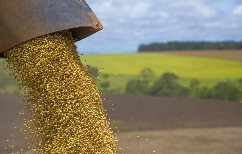 Líderes mundiais, Brasil e Estados Unidos têm quase a mesma área plantada com soja | Hugo Harada/Gazeta do Povo