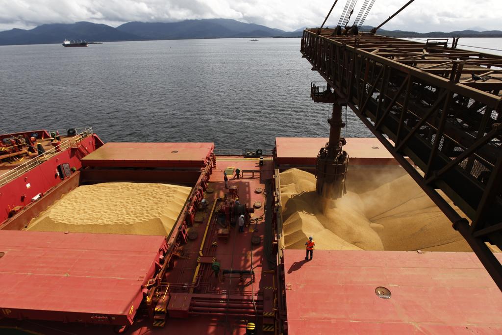 O departamento aumentou em 2 milhões de toneladas as projeções para os embarques brasileiros de soja, prevendo 69 milhões de toneladas. | Jonathan Campos/Gazeta do Povo