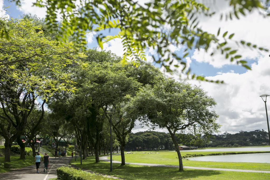 | Marcelo Andrade/Gazeta do Povo