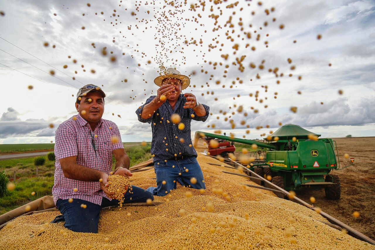 Pai e Filho, Genor e Paulo Piaia se divertem com a abundância de soja produzida: eles conseguiram aumentar a produtividade em um ano de desafios | Jonathan Campos/Gazeta do Povo
