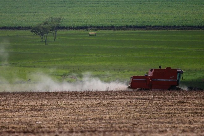 Colheita na fazenda de Valdenir Barizon, em Deadápolis |