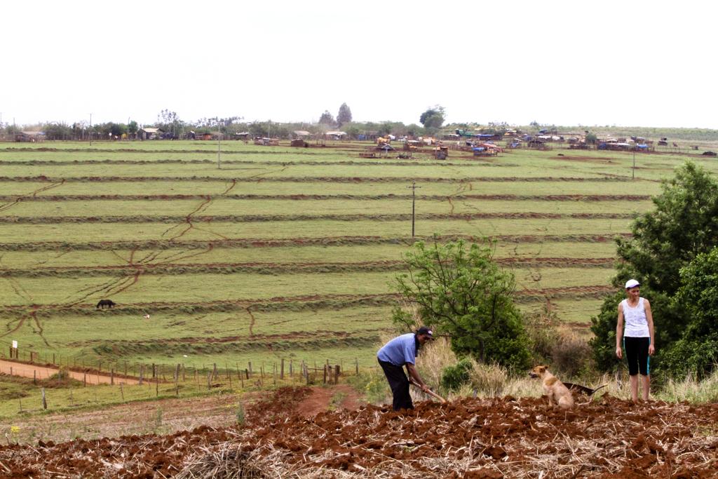 Emissão de 26.523 títulos definitivos de domínio de terra em 2017 é dez vezes superior à média anual observada entre 2003 e 2016 | Arquivo
/ Gazeta do Povo