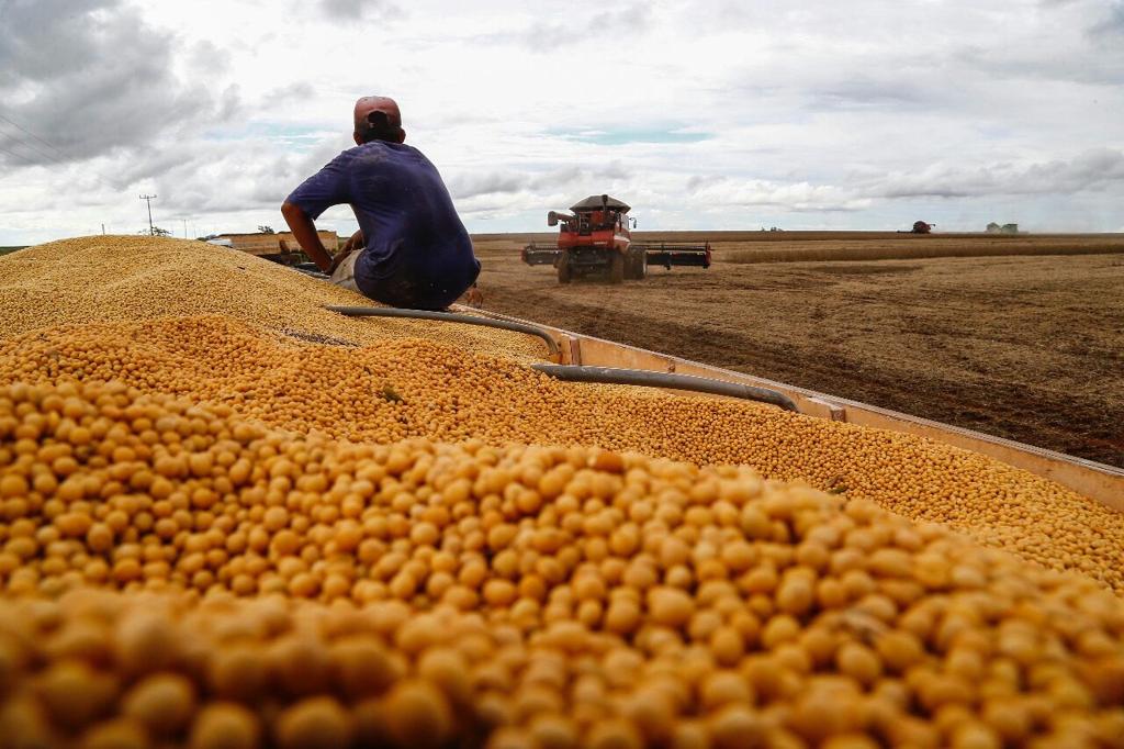 Produção de soja no Mato Grosso do Sul | Jonathan Campos/Gazeta do Povo