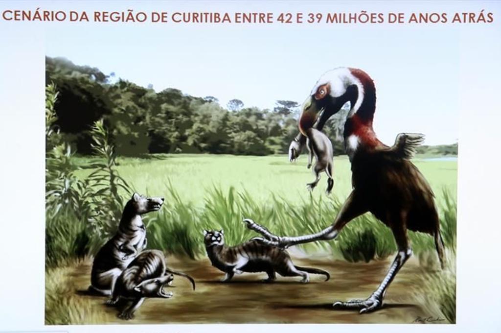  | Divulgaç]ão/UFPR/