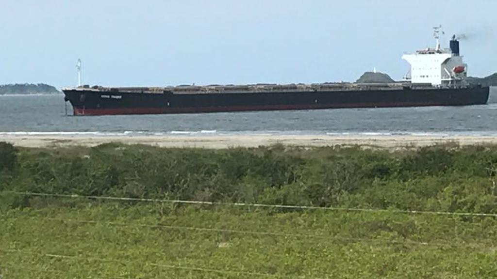  | Alessandro Aranha/Colaboração