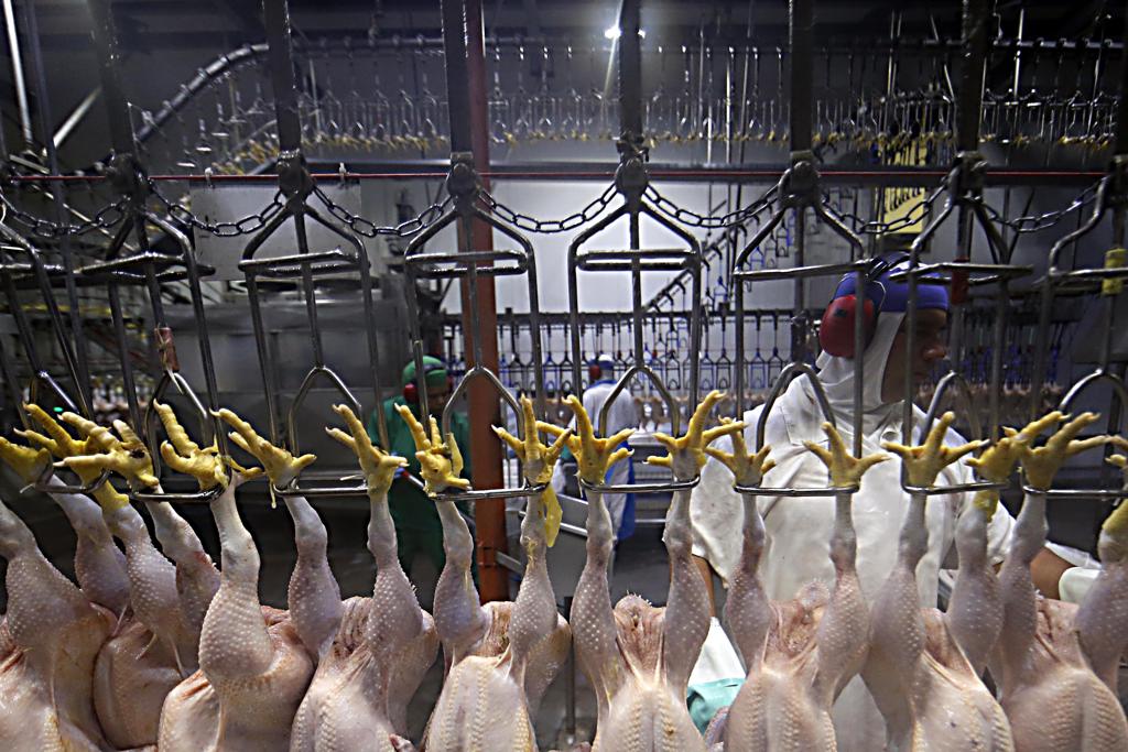 Por enquanto, a Comissão Europeia indica que as certificações exigidas depois da primeira fase da Operação Carne Fraca continuam em vigor. | Albari Rosa/Gazeta do Povo