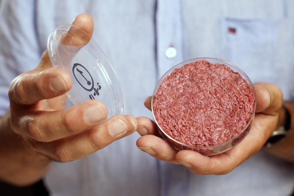 O cientista Mark Post segura o primeiro hambuer criado em laboratório. O produto foi desenvolvido a partir de céulas cultivadas | RT/POOL