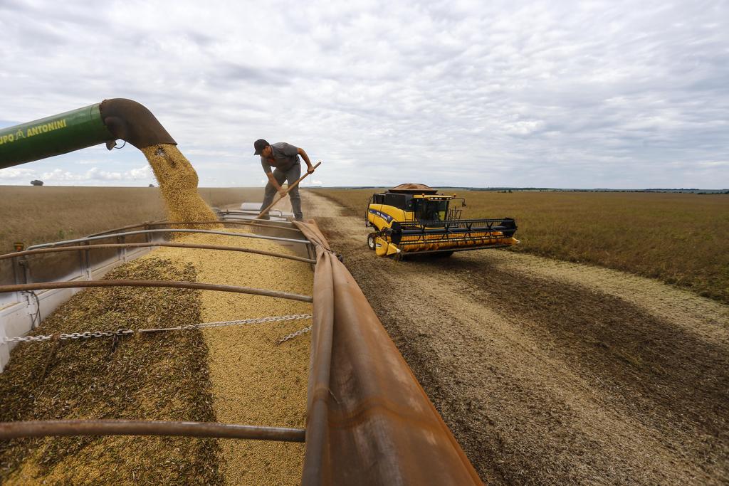 Entre 2012 e 2017, o rendimento médio real (descontada a inflação) do trabalho no agronegócio cresceu 7%, muito acima do avanço registrado para os trabalhadores de todos os setores da economia no período. | Jonathan Campos/Gazeta do Povo
