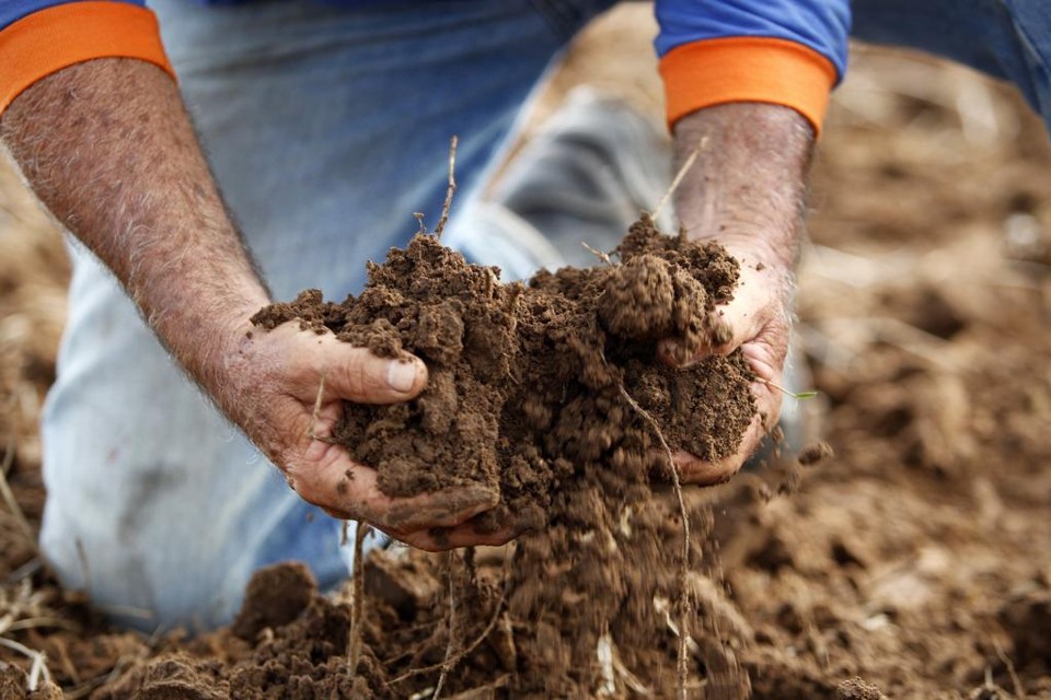 O monitoramento será feito pela Plataforma Multi-Institucional de Monitoramento das Reduções de Emissões de Gases de Efeito Estufa na Agropecuária, chamada de Plataforma ABC. | Daniel Caron/Gazeta do Povo
