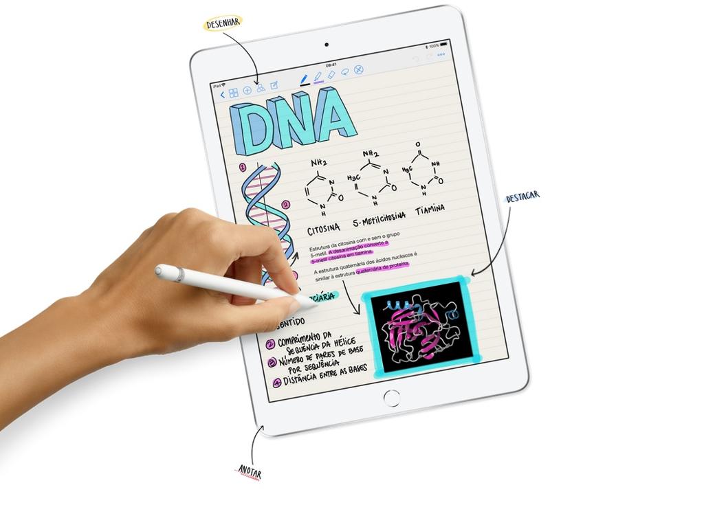 | /Divulgação Apple