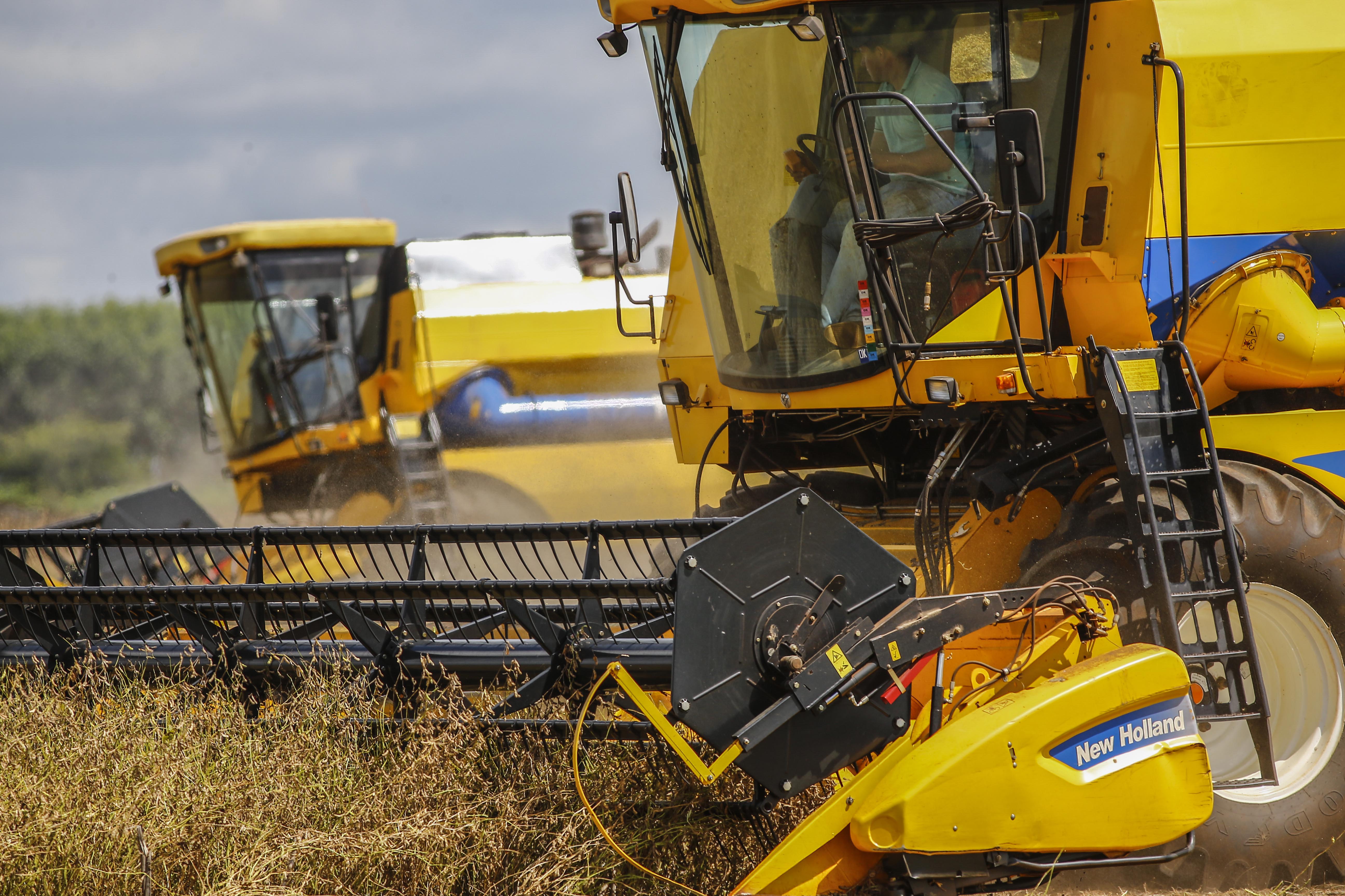 O setor agropecuário fechou 2017 com a melhor contribuição para o PIB desde 1996, início da atual série de contas nacionais do IBGE. | Jonathan Campos/GAZETA DO POVO