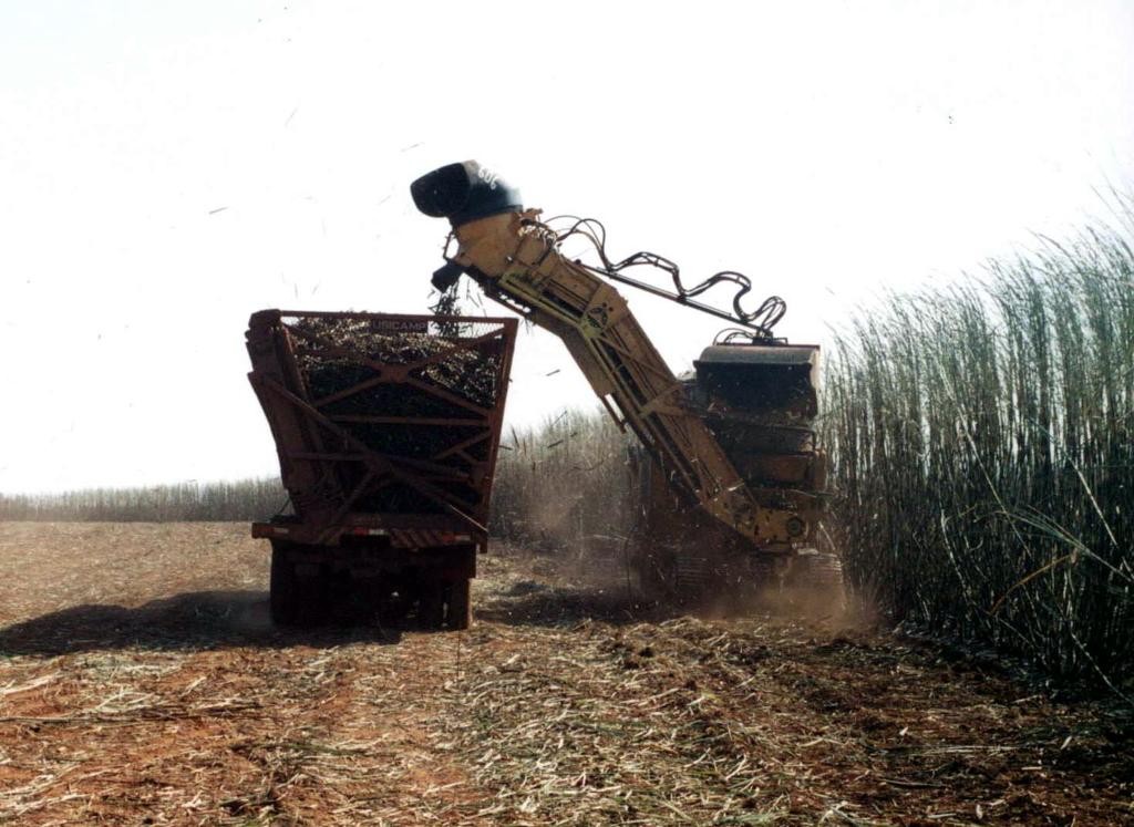 “Os biocombustíveis e açúcar brasileiros não são associados a esse desmatamento. O PL pode manchar essa reputação e colocar em risco os mercados já conquistados”, defende a nota apoiada pela Unica,