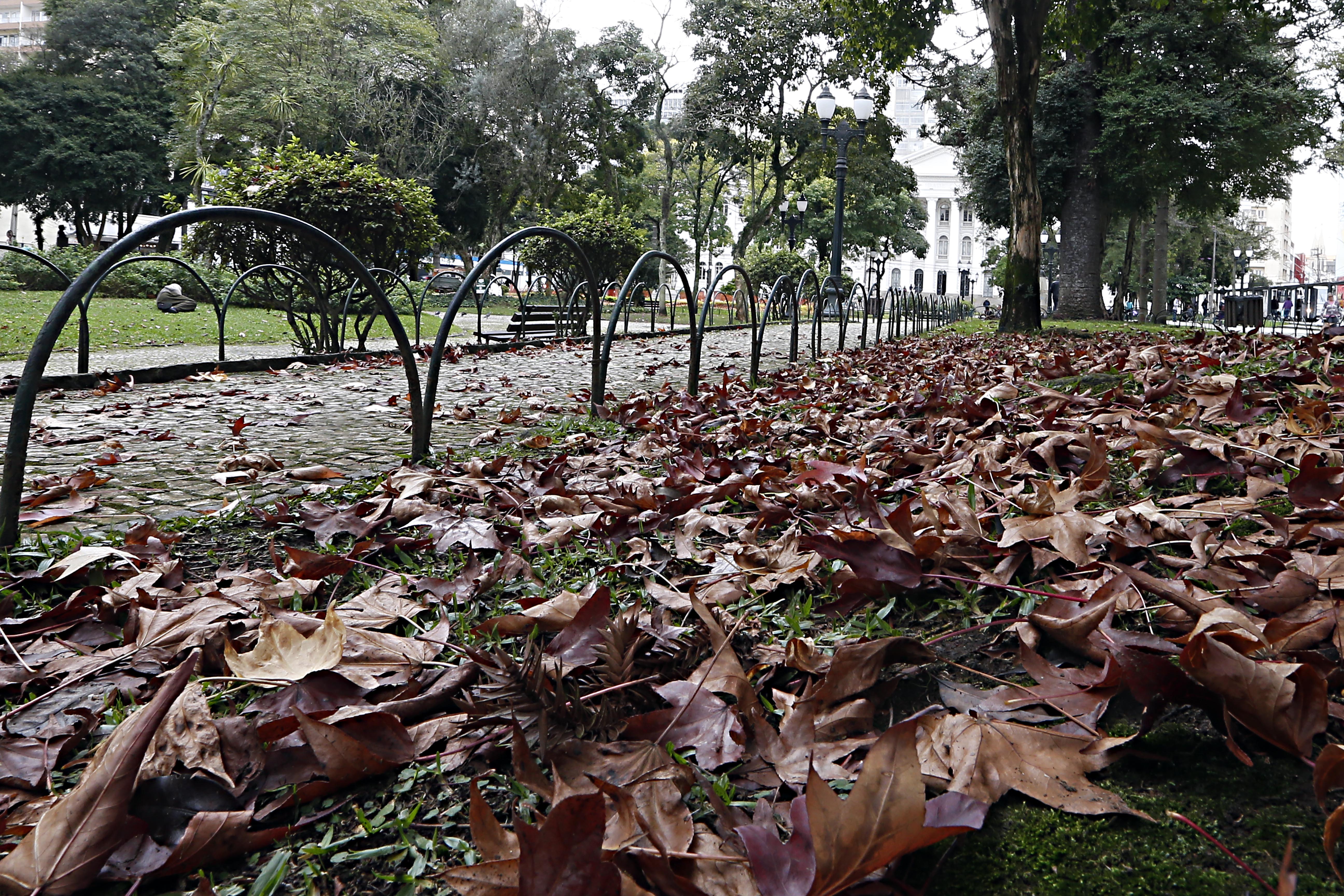 | Albari Rosa/gazeta do povo
