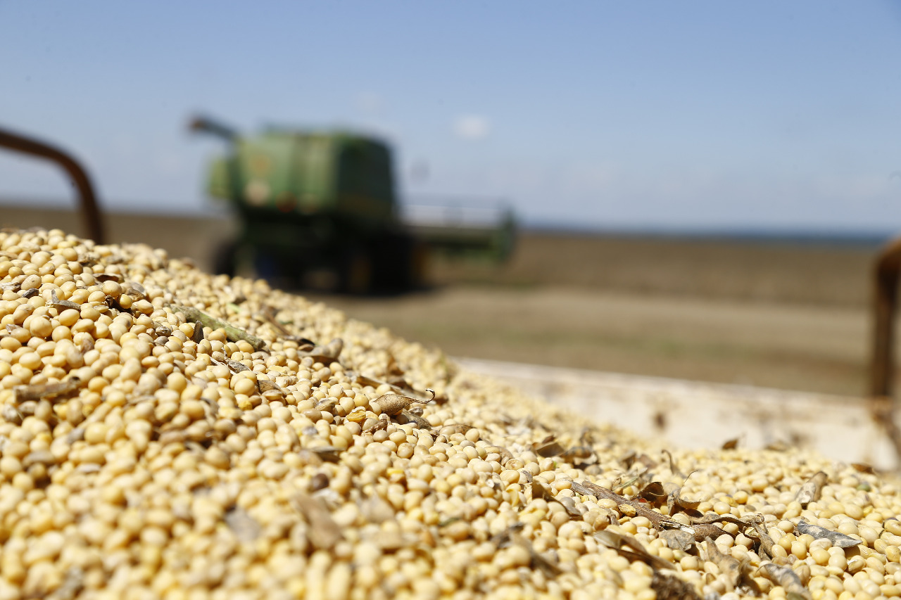 Paraguai colheu em 2017 mais de 10 milhões de toneladas de soja, cerca de metade da produção paranaense | Jonathan Campos/Gazeta do Povo