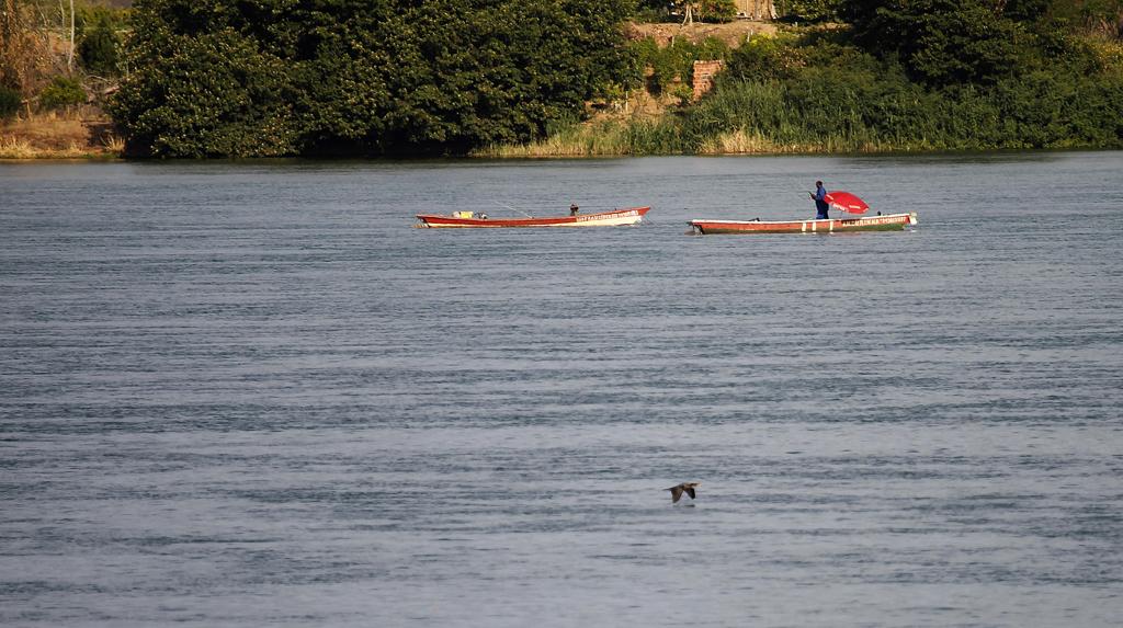 Em Sobradinho, na Bahia, produtores participam de projeto de irrigação no Vale do São Francisco | Jonathan Campos/Gazeta do Povo
