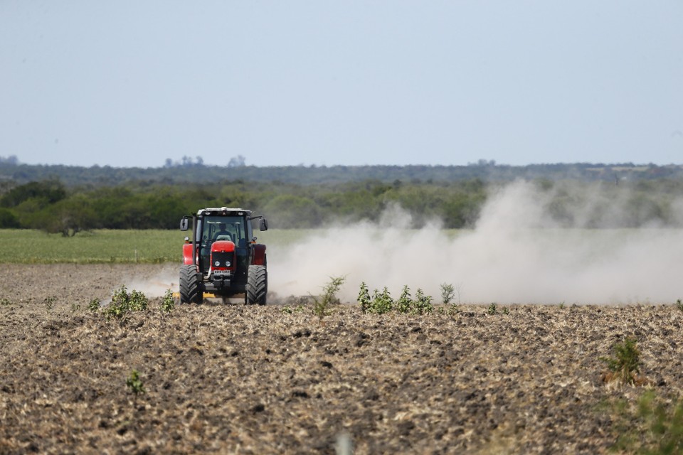 Argentina perde um “Paraná inteiro” na safra de grãos Falta de chuvas afligiu mais de um milhão de hectares | Jonathan Campos/Gazeta do Povo