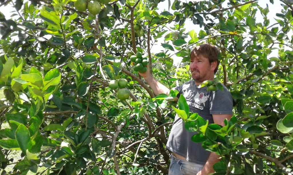 Cooperativa de Boa Vista vai estrear no mercado europeu | Cooperhorta/