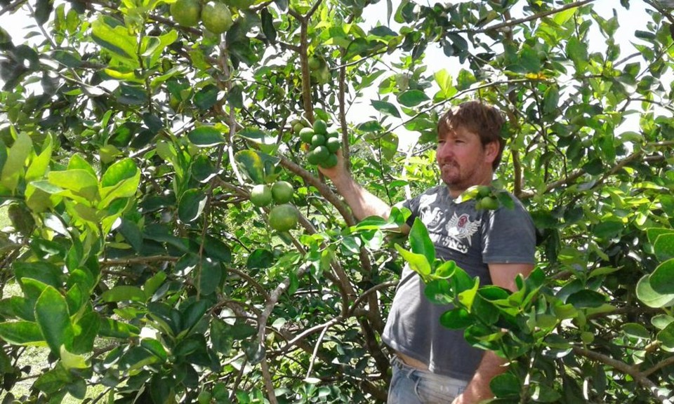 Eles jogavam 70% das frutas fora: agora espanhóis e franceses vão comprá-las Cooperativa de Boa Vista vai estrear no mercado europeu | Cooperhorta/