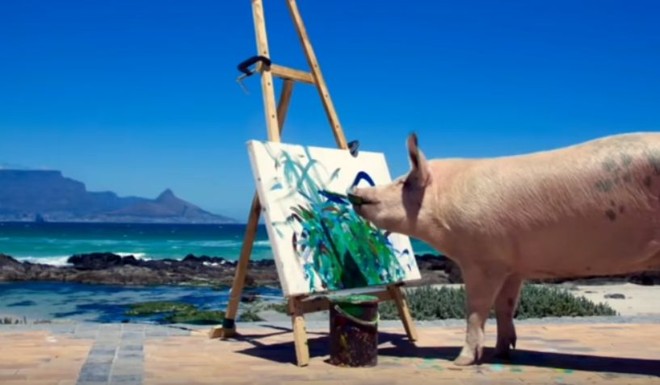 A porca ‘Pigcasso’: quadros vendidos por mil euros | Reprodução/YouTube