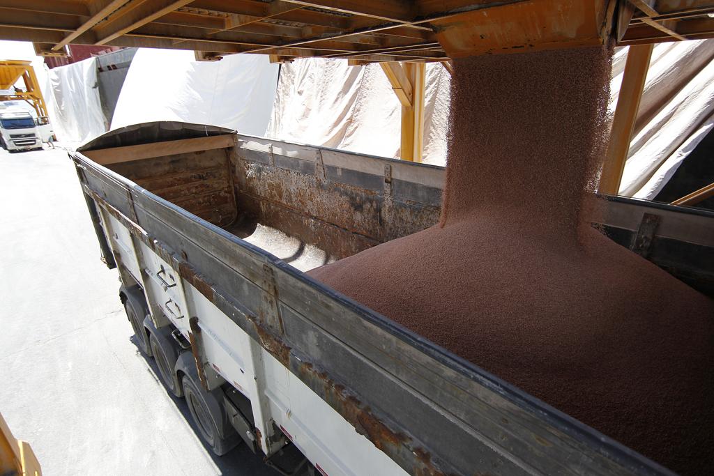 Carregamento de fertilizante no Porto de Paranaguá | JONATHAN CAMPOS/GAZETA DO POVO