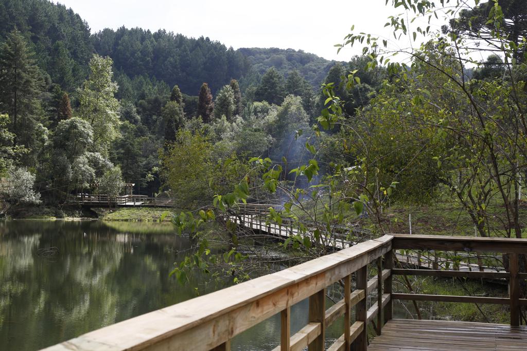Na primeira fase da reabertura do Parque Anibal Khury estarão disponíveis trilhas ecológicas, um mirante para a cascata e churrasqueiras. | Aniele Nascimento/Gazeta do Povo