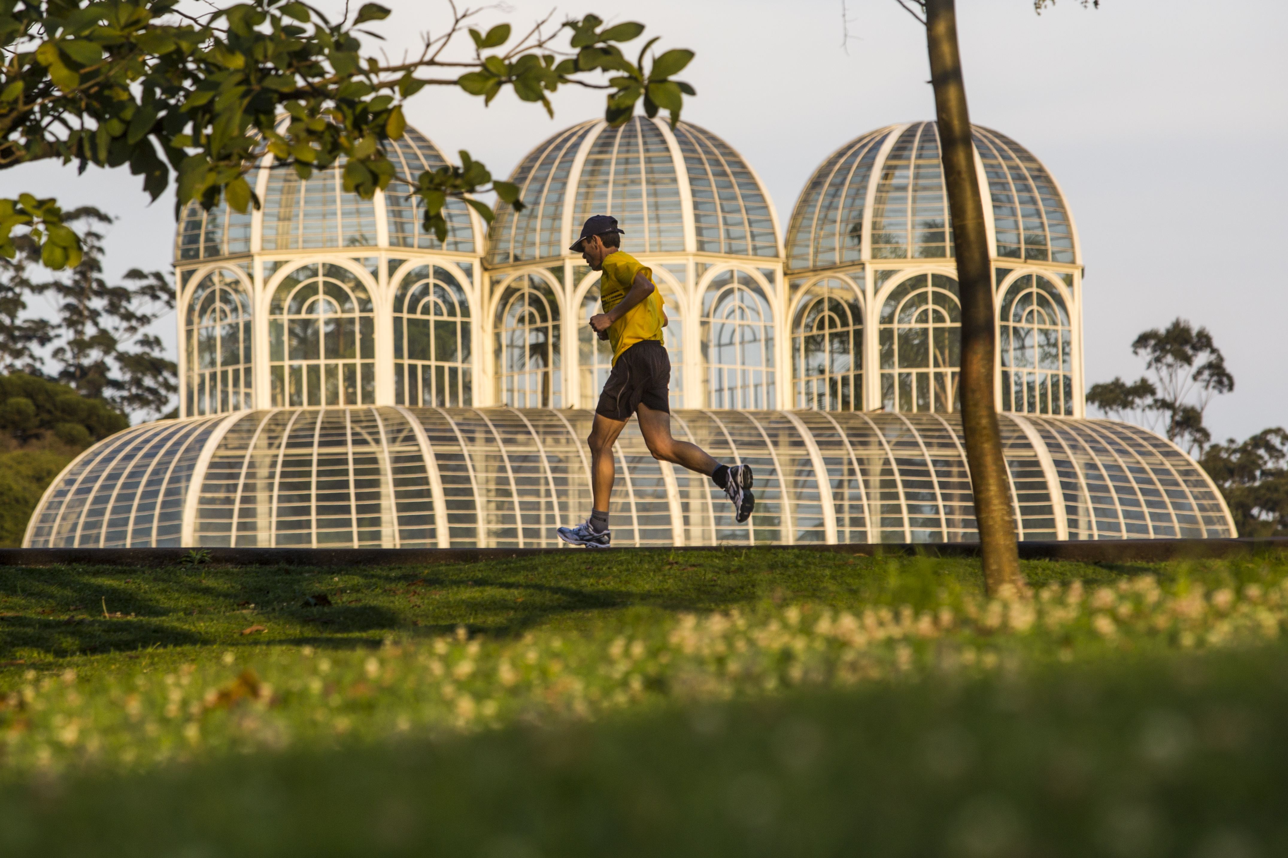  | Brunno Covello/Gazeta do Povo/Arquivo