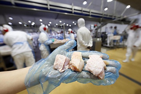 Quinto maior mercado para o frango brasileiro cobra explicações No ano passado, Hong Kong proibiu a importação de carnes de aves congeladas e refrigeradas do Brasil quatro dias após a deflagração da primeira fase da Carne Fraca. | Albari Rosa/Gazeta do Povo