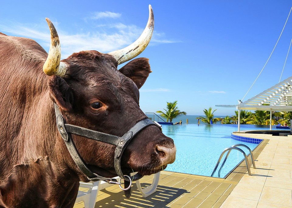 | Gazeta do Povo/Pixabay/Creative Commons