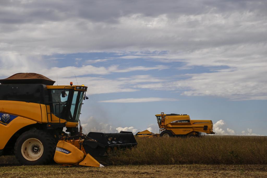 As três principais lavouras de grãos do país arroz, milho e soja representarão 92,9% da produção | Jonathan Campos/Gazeta do Povo