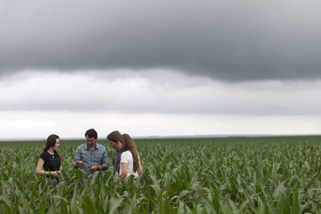 Família Marcolim na lavouora de milho em Nova Santa Rosa, no Piauí | Jonathan Campos/Gazeta do Povo