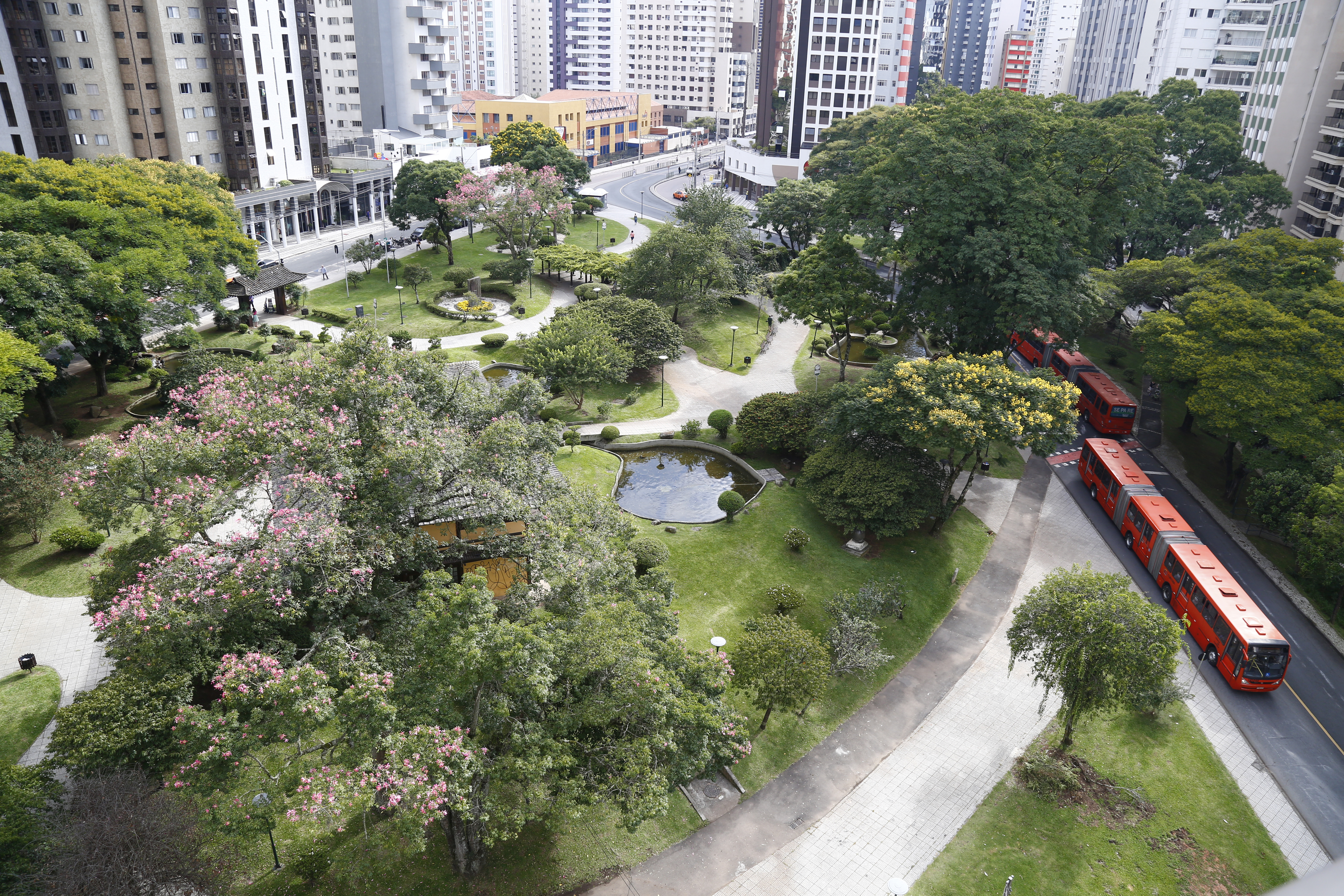  | Aniele Nascimento/Gazeta do Povo