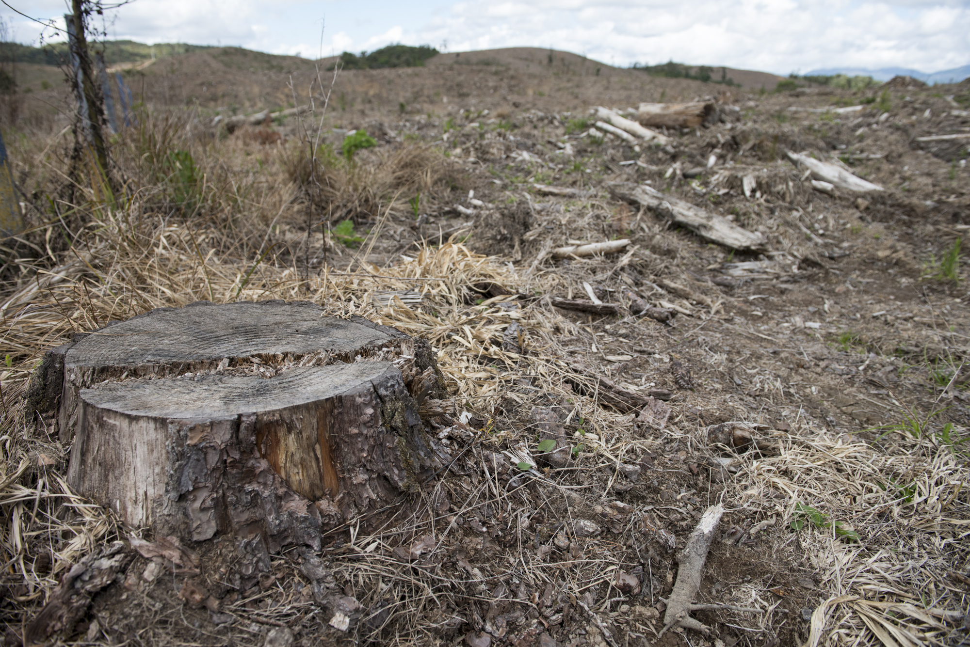 | Henry Milleo/Gazeta do Povo