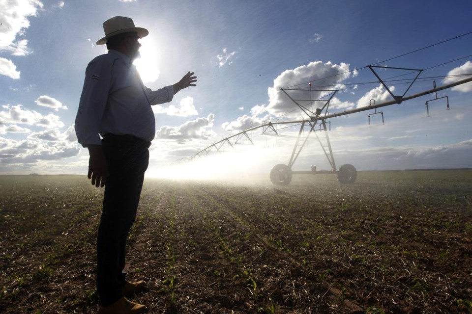 Em Luis Eduardo Magalhães, na Bahia, o produtor Cícero José Teixeira comemora uma média acima de 80 sacas por hectare na propriedade de quase mil hectares. | Daniel Caron/Gazeta do Povo