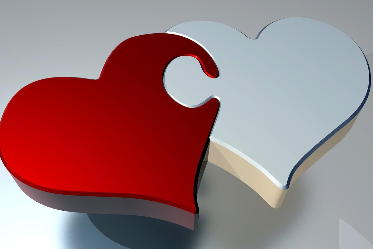 Partido Socialista Brasileiro (PSB) e Associação Nacional dos Defensores Públicos questionam lei no STF | Pixabay