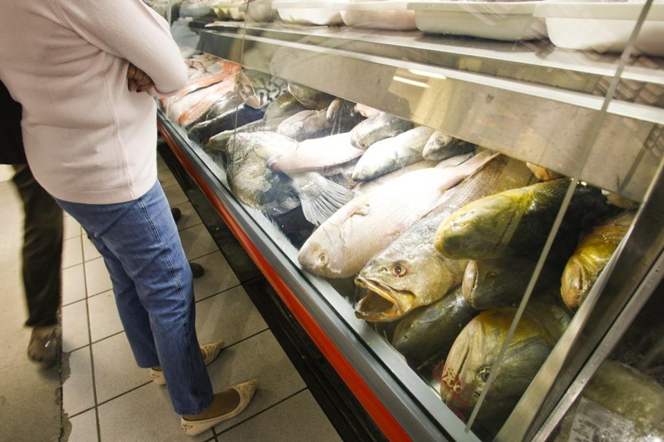 Peixes à venda no Mercado Municipal de Curitiba: bacalhau é uma das espécies em extinção, mas que não tem restrições legais no Brasil | HUGO HARADA/GAZETA DO POVO