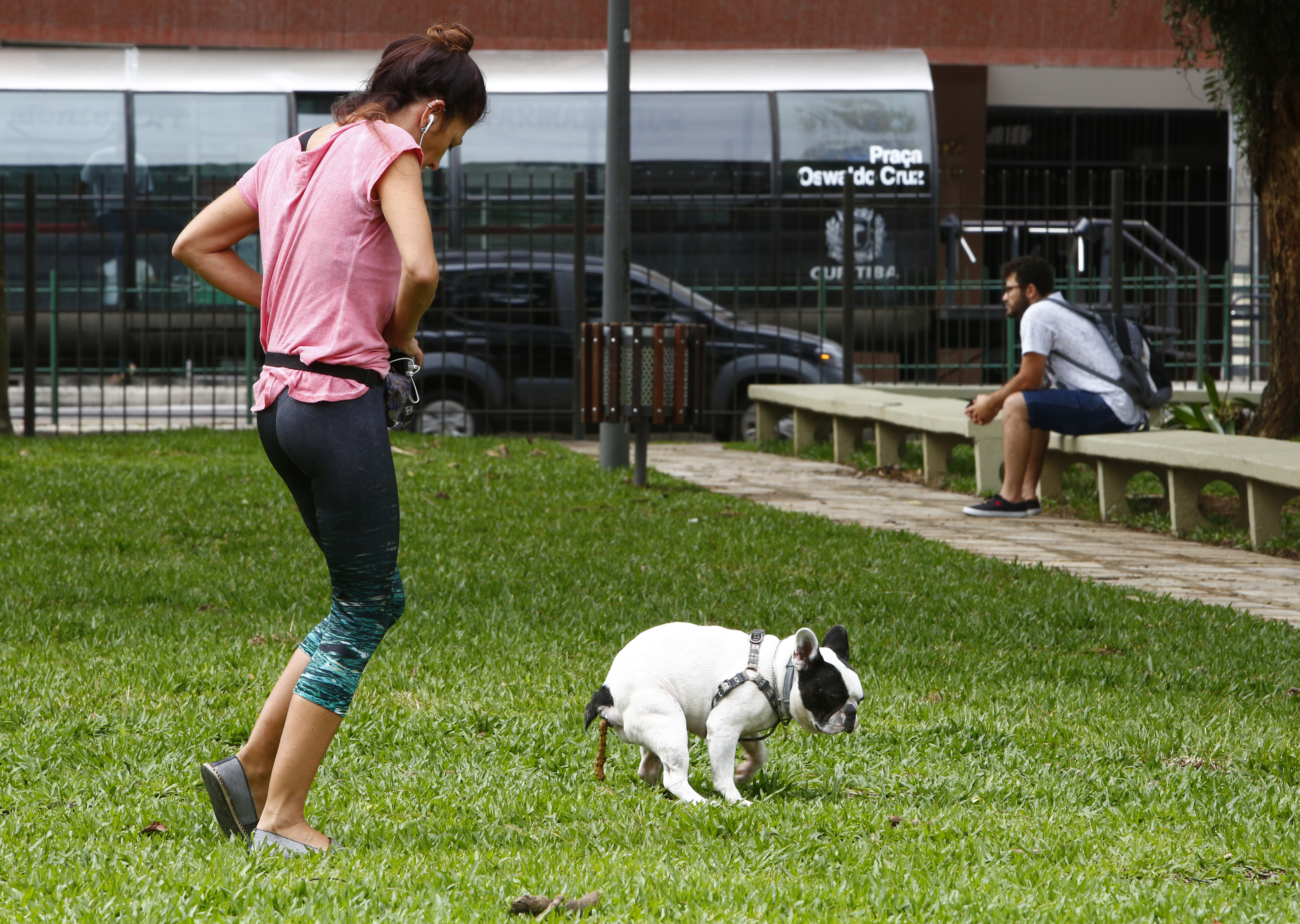 Donos de cães devem sempre andar com a sacola higiênica para coletar os dejetos de seus animais | Aniele Nascimento/Gazeta do Povo