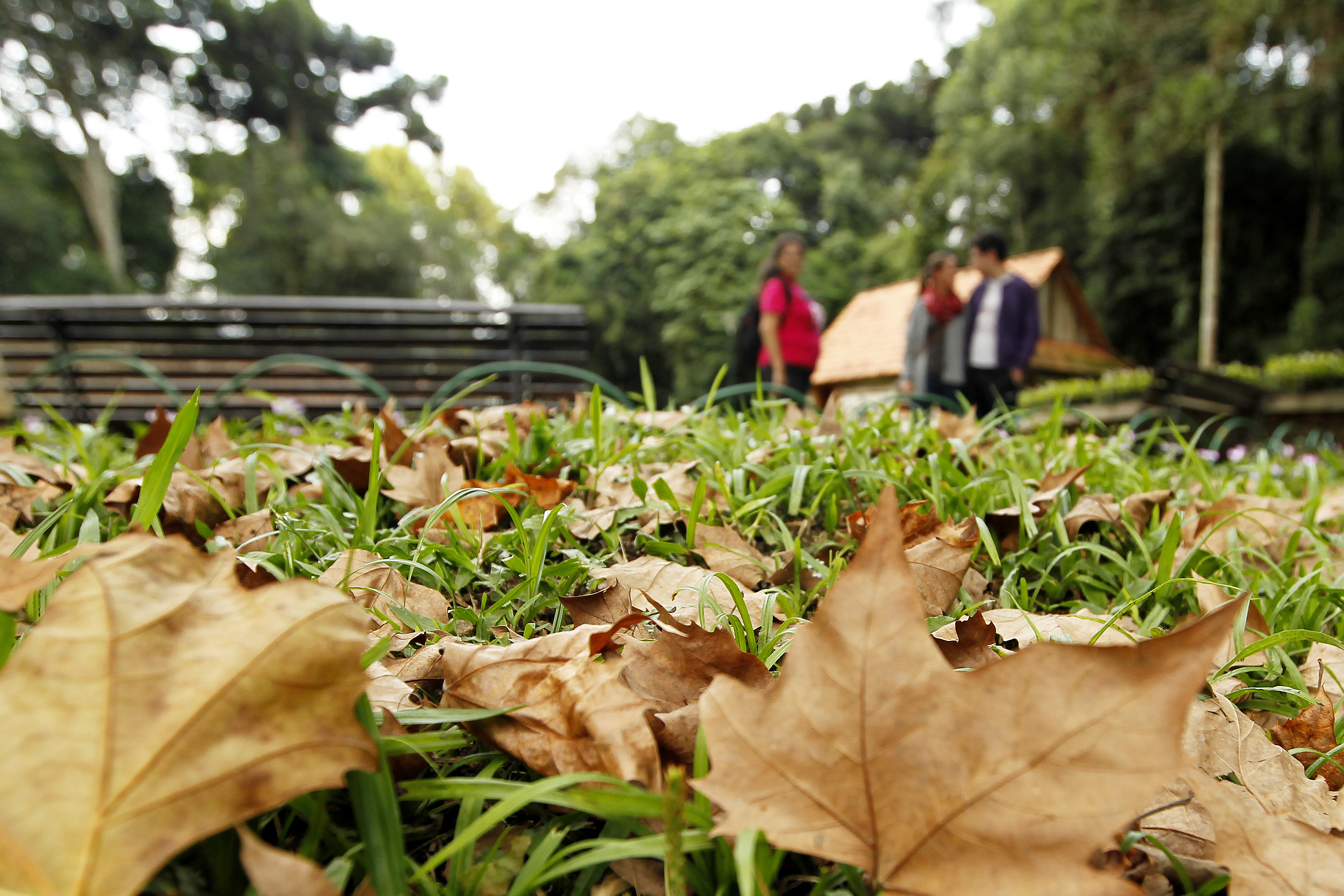 | Antônio More/Gazeta do Povo