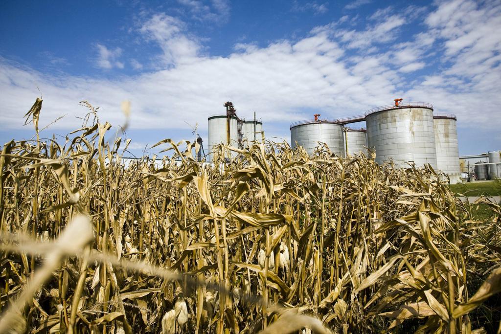 A ameaça à demanda por etanol chega em um momento em que a economia rural já sofre anos de excedentes de safras. | Patrick Fallon/