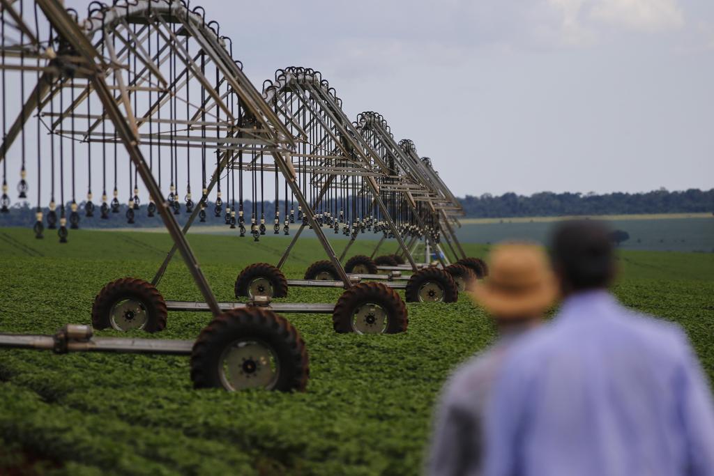 O programa prevê o pagamento imediato de uma alíquota de 2,5% do valor da dívida em até duas parcelas iguais, mensais e sucessivas. | Jonathan Campos/Gazeta do Povo