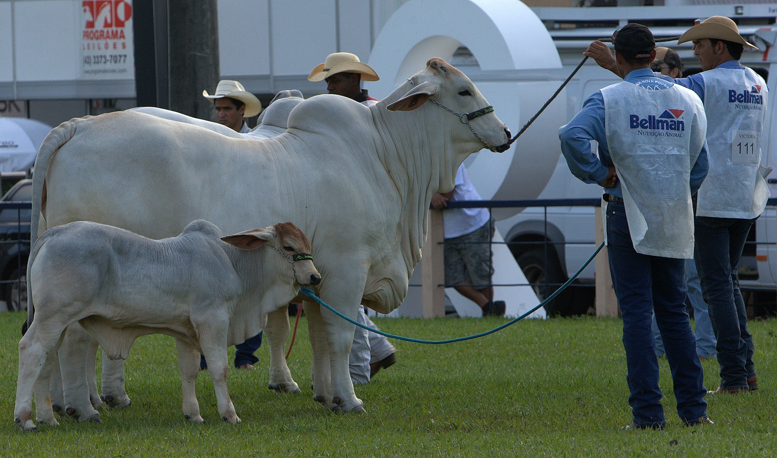 | Arquivo/Gazeta do Povo