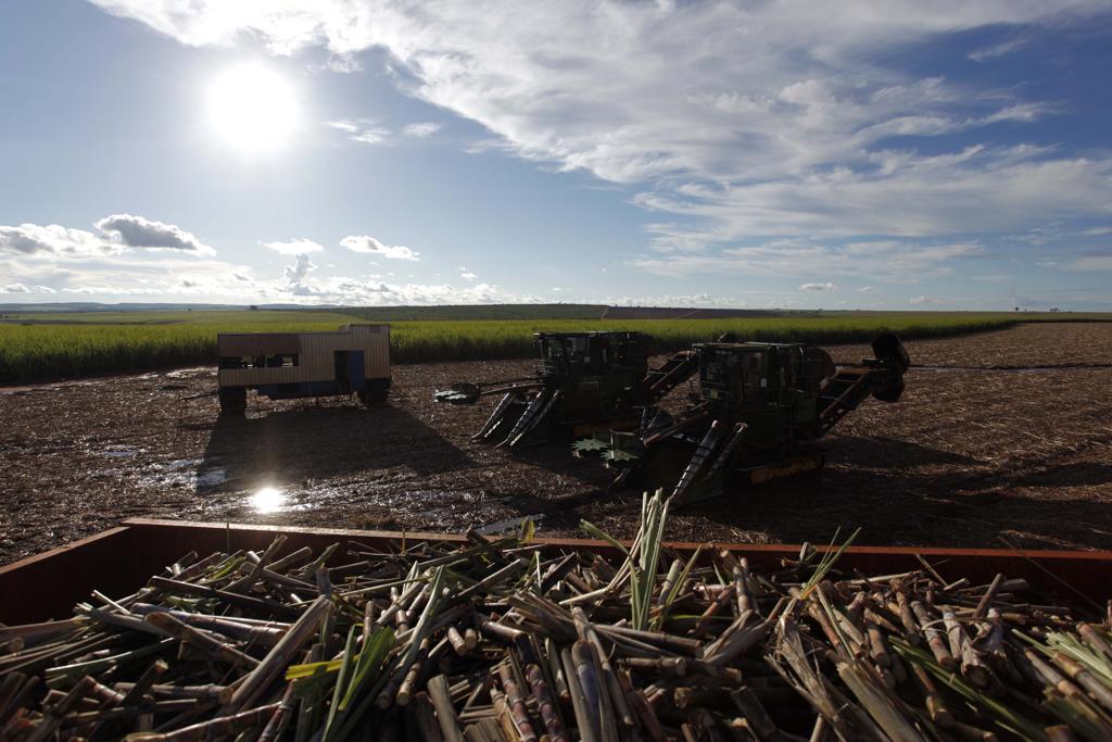 De acordo com o levantamento, a queda na produção se deve, entre outros fatores, à diminuição da área usada para a produção de cana. | JONATHAN CAMPOS/GAZETA DO POVO